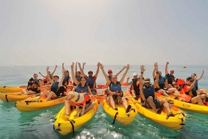 ビジャホヨサ: 男の親友であるあなたの犬と一緒にカヤックに乗る