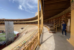 Alicante: Inträdesbiljett till tjurfäktningsmuseet och tjurfäktningsarenan