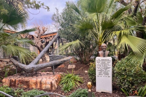 Vinresa med 3 provsmakningar och Castillo La Mola: Liten grupp