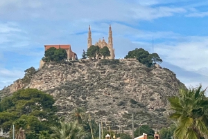 Vinresa med 3 provsmakningar och Castillo La Mola: Liten grupp