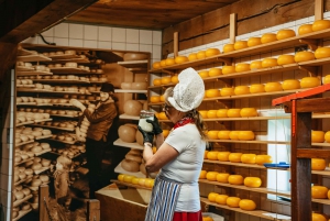 Amsterdão: Tour por Giethoorn, Zaandam e Zaanse Schans com recolha