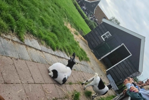 Amsterdão: Tour por Giethoorn, Zaandam e Zaanse Schans com recolha