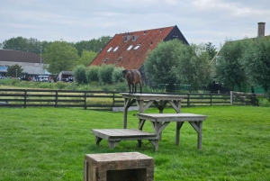 Amsterdão: Tour por Giethoorn, Zaandam e Zaanse Schans com recolha