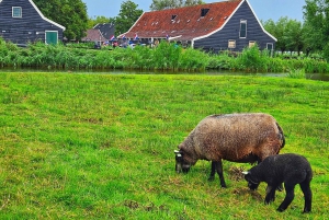 Amsterdão: Tour por Giethoorn, Zaandam e Zaanse Schans com recolha