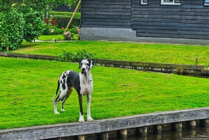 Amsterdão: Tour por Giethoorn, Zaandam e Zaanse Schans com recolha