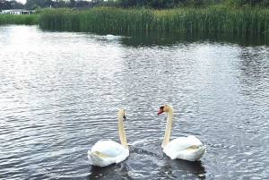 Amsterdão: Tour por Giethoorn, Zaandam e Zaanse Schans com recolha