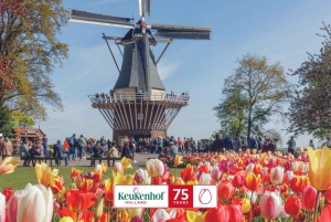 Amsterdam: Keukenhof Entry & Shuttlebus with Flexible Return