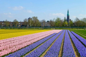 Keukenhof: Campos de Flores Tour Cultural de Bicicleta em Pequenos Grupos