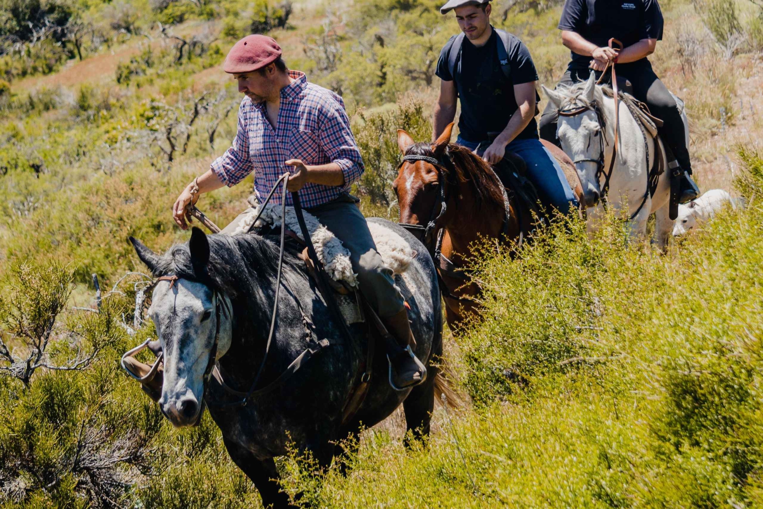 Aluminé: 4-dagers patagonisk ridetur med losji