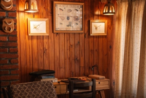 Aluminé: 4-dagers patagonisk ridetur med losji