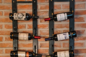 Aluminé: 4-dagers patagonisk ridetur med losji