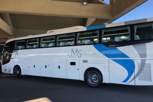 Bariloche: 1-Way or Round-Trip BRC Airport Transfer