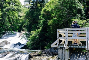 Bariloche: Puerto Blest og Los Cantaros-fossen