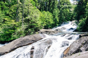 Bariloche: Puerto Blest og Los Cantaros-fossen