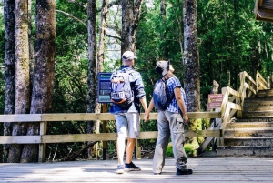 Bariloche: Puerto Blest og Los Cantaros-fossen