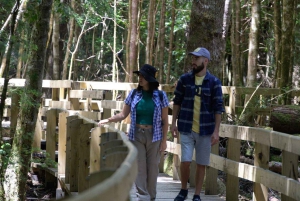 Bariloche: Puerto Blest og Los Cantaros-fossen