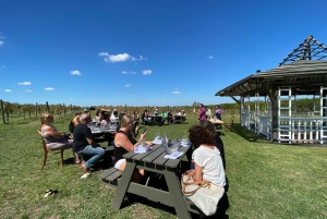 Buenos Aires: Cata de vinos y almuerzo en la Bodega Gamboa