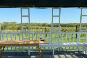 Buenos Aires: Wine Tasting and Lunch at Bodega Gamboa