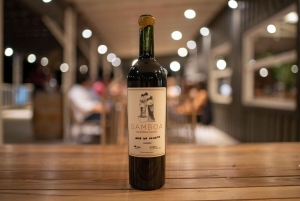 Buenos Aires: Wine Tasting and Lunch at Bodega Gamboa