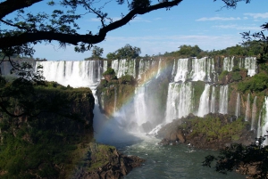 Buenos Aires: Iguazú-vandfaldene med bådtur og valgfri flyvning