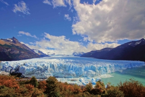 El Calafate: Guidet tur på Perito Moreno-breen
