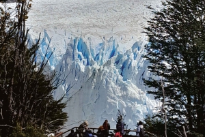 El Calafate: Guidet tur på Perito Moreno-breen