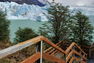 El Calafate: Guidet tur på Perito Moreno-breen