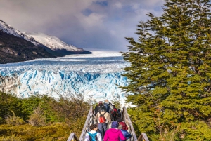 El Calafate: Perito Moreno Glacier & Optional Boat Cruise