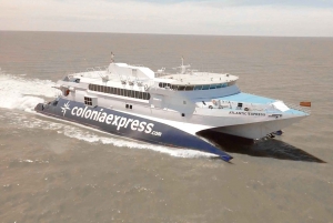 Desde Buenos Aires: Billetes de ferry a Colonia y excursión opcional