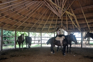 Из Буэнос-Айреса: тур Estancia Don Silvano с обедом.