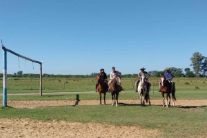 Из Буэнос-Айреса: тур Estancia Don Silvano с обедом.