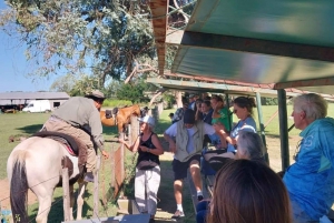 Из Буэнос-Айреса: тур Estancia Don Silvano с обедом.