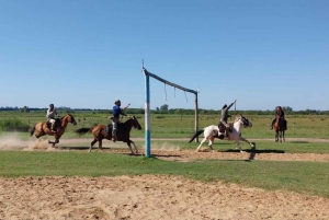 Из Буэнос-Айреса: тур Estancia Don Silvano с обедом.