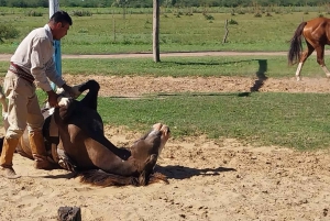 Из Буэнос-Айреса: тур Estancia Don Silvano с обедом.