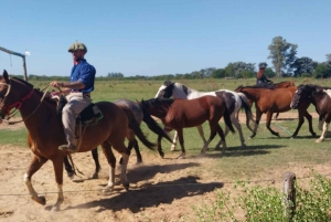 Из Буэнос-Айреса: тур Estancia Don Silvano с обедом.