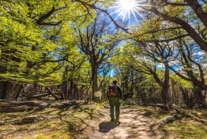 From El Calafate: Full-Day Tour to El Chaltén