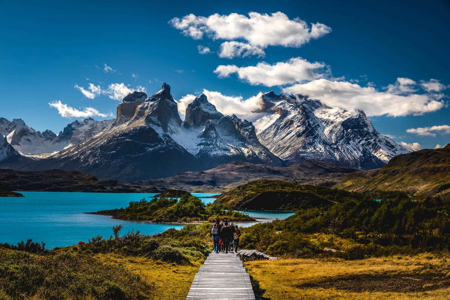 Fra El Calafate: Torres del Paine Heldagstur