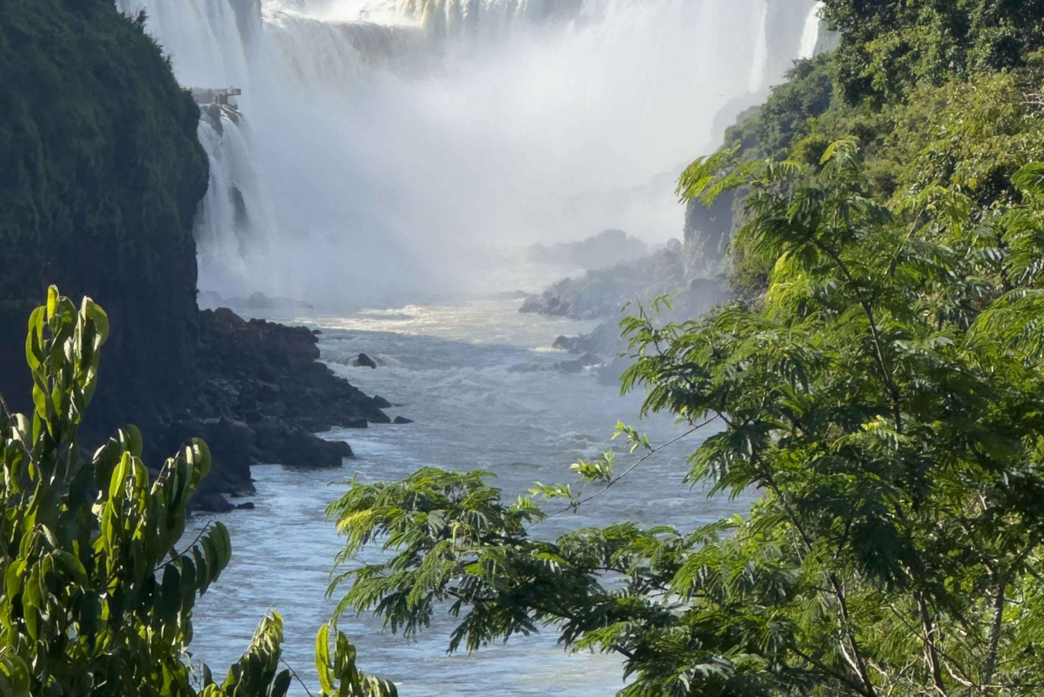fra Foz do Iguaçu: Privat tur til de argentinske fossefallene