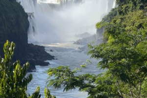 fra Foz do Iguaçu: Privat tur til de argentinske fossefallene