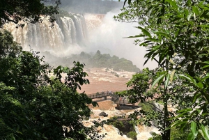 fra Foz do Iguaçu: Privat tur til de argentinske fossefallene