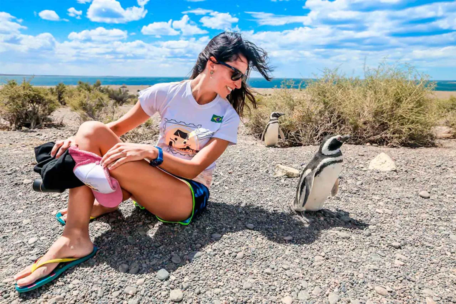 Fra Puerto Madryn: Dagstur til Punta Tombo med hotelltransport