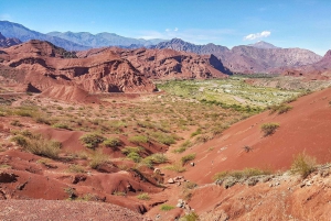 From Salta: Cafayate Day Trip with Wine Tasting