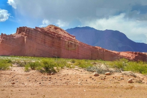 From Salta: Cafayate Day Trip with Wine Tasting