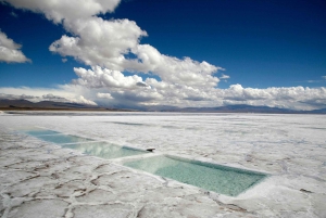 From Salta: Full-Day Trip to Salinas Grandes and Purmamarca