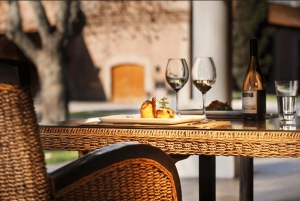 Vintur i Luján de Cuyo: Førsteklasses smaksprøver og gourmetlunsj