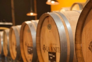 Vintur i Luján de Cuyo: Førsteklasses smaksprøver og gourmetlunsj