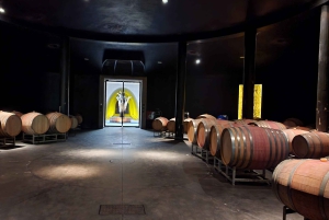 Vintur i Luján de Cuyo: Førsteklasses smaksprøver og gourmetlunsj