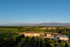 Vintur i Luján de Cuyo: Førsteklasses smaksprøver og gourmetlunsj