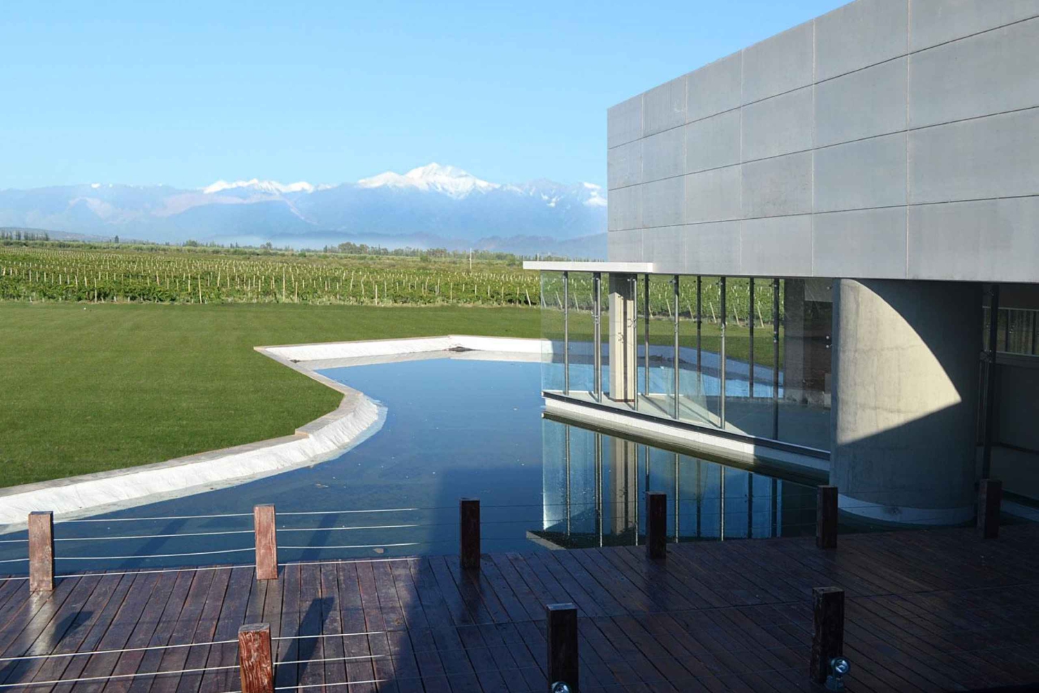 Maipú: Vin- og olivenoljetur med gourmetlunsj