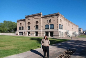 Mendoza: Full Day Wine Tour with 3 Course Lunch